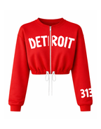 Detroit Hockey Cinch Zip